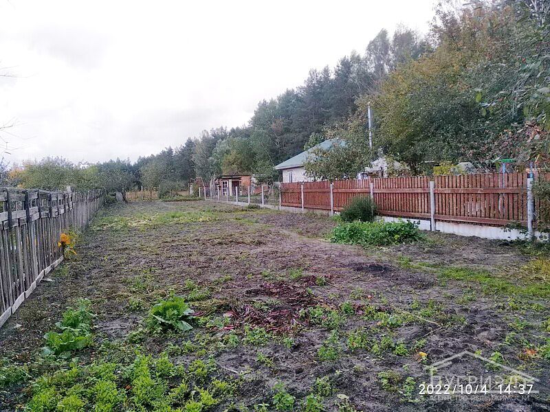Садовый земельный участок в Брестском р-не - 220612, фото 1