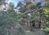 Жилой дом на садовом участке в эксклюзивном месте -250159, мини фото 19