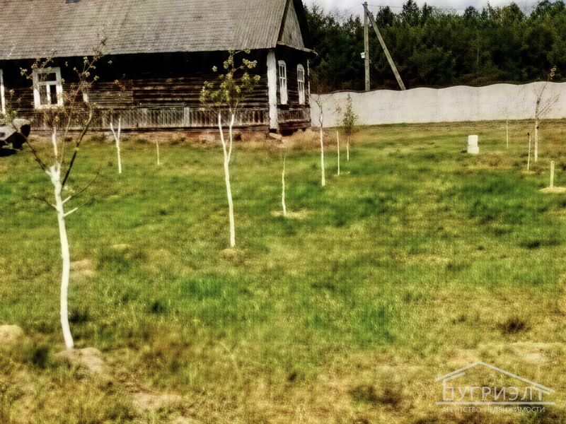 Земельный участок с жилым домом в Малоритском районе -260348, фото 1