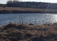 Домик в Беловежской пуще - 240773, мини фото 4