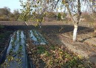 Жилой дом в д.Пинковичи - 550148, мини фото 5