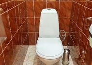 Двухкомнатная квартира, Молодогвардейская ул. - 260307, мини фото 21