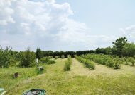 Жилой дом в Брестском р-не - 260141, мини фото 30